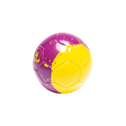 HBC Nantes - Mini ballons violet et jaune